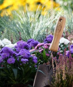 DeWit Forged Hand Trowel Standard Short Handle 12 71Mc0sJXAKL