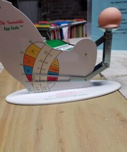 The Incredible Egg Scale 1 24 71Mf5D6lAYL