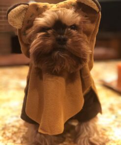 Rubie's Star Wars Ewok Pet Costume, Small S (Neck: 12", Girth: 17", Back: 11") 1 29 71MjYQVBdCL