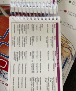 Pocket Anatomy & Physiology Spiral-bound 11 71Mk6AOQb7L