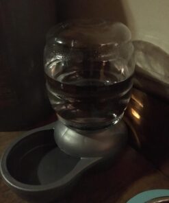 Petmate Replendish Automatic Gravity Waterer for Cats and Dogs, BPA-Free, No Batteries Required, Includes Charcoal Filter, 0.5 Gallon,Silver Silver 0.5 GAL 70 71MlXBG2npL