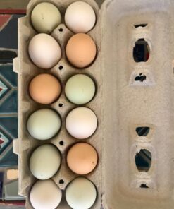 Egg Cartons - 250 Count 17 71MmVuaA2L