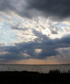 Sigma 150-600mm f/5-6.3 DG OS HSM Contemporary Lens for Canon EF Bundle Includes Manufacturer Accessories + 72 inch Monopod with Quick Release + UV Filter + Lens Pen + Microfiber Cleaning Cloth 30 71MoHfLo1cL