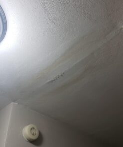 Rectorseal 97637 Safe-T-Switch Ss2 Switch 22 71MoIdRMDoL