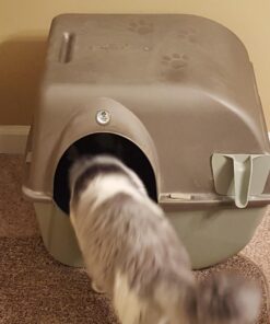 Omega Paw Self-Cleaning Litter Box, Pewter 52 71MpWUwjImL