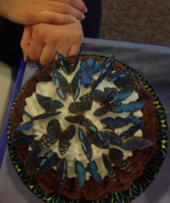 Sugar Robot Inc. Edible Butterflies Small Premium Crafted Made in the USA Cake and Cupcake Toppers, Decoration (Blue) Blue 39 71Ms7PTkJ L