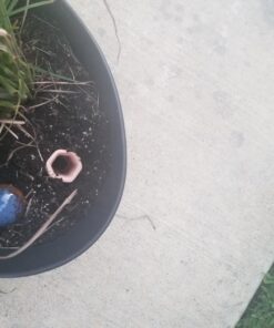 REMIAWY Plant Watering Devices 6 Pack Terracotta Vacation Plant Waterer Wine Bottle Watering Stakes Slow Release Plant Watering Spikes Perfect Self Watering Devices for Indoor Outdoor Plants 44 71MsQAl5jjL