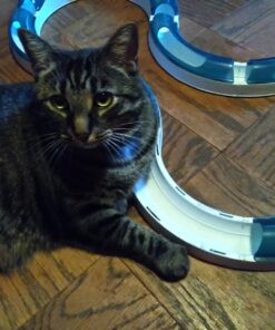 Catit Design Senses Speed Circuit 20 71MvcXox7L