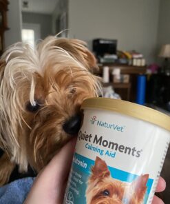 NaturVet Quiet Moments Calming Aid Dog Supplement – Helps Promote Relaxation, Reduce Stress, Storm Anxiety, Motion Sickness for Dogs – Tasty Pet Soft Chews with Melatonin – 70 Ct. Dog - Quiet Moments Melatonin 70 Soft Chews 31 71MvxufkxyL