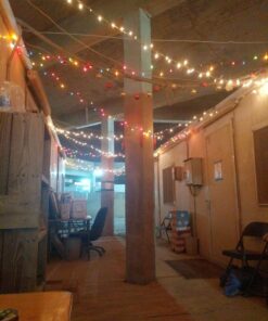 Holiday Wonderland's 300-Count Mini Multi Color Christmas Light Set 13 71MxLKWKzGL