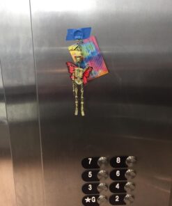 Rhode Island Novelty Skeleton Keychains - Pack of 12 5 71MyNH8mVEL