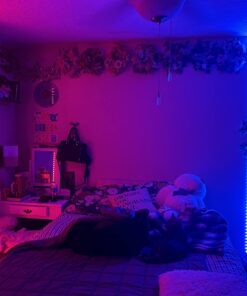 Govee 32.8ft Color Changing LED Strip Lights, Bluetooth LED Lights with App Control, Remote, Control Box, 64 Scenes and Music Sync Lights for Bedroom, Room, Kitchen, Party, 2 Rolls of 16.4ft 31 71N P4C4e0L