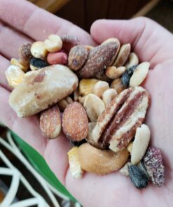 Lyric Fruit and Nut Wild Bird Seed - High Energy Wild Bird Food Mix - Attracts Woodpeckers, Chickadees & Other Songbirds - 5 lb bag 5.00 Pound (Pack of 1) 40 71N0IuzR7L 1