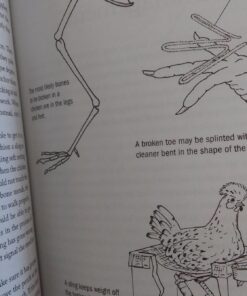Storey's Guide to Raising Chickens, 3rd Edition 10 71N3qpKjjL