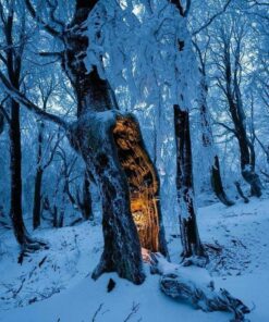 DrFormulas Super Prostate Supplement | Best Prostate Support with Saw Palmetto Extract, Beta Sitosterol, Pumpkin Seed Oil Now, 90 Vegetarian Capsules 90 Count (Pack of 1) 11 71N5Re1dKVL