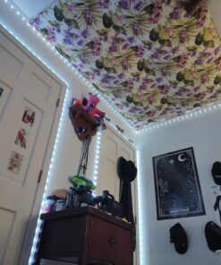 REEMEER Led Lights 100ft(2 Rolls of 50ft) Smart APP Control Music Sync Led Strip Lights RGB Color Changing Led Lights Strips with Remote Led Lights for Bedroom Kitchen and Party 100 ft 31 71N5eM6IK6L