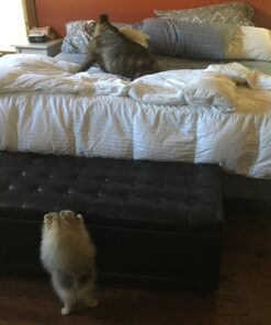 The Company of Animals Dog Trainer, 50ml. Stops Barking, Jumping Up, Place Avoidance, Food Stealing, Dog Fights & Attacks. Help stop unwanted dog behaviour. Easy to use, safe, humane and effective 50 ml 1 35 71N5gF2t8zL 1