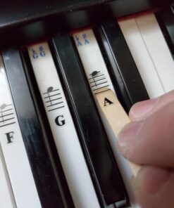 QMG Piano Stickers for 49/61/ 76/88 Key Keyboards – Transparent and Removable; Made in USA Sticker 39 71N7XnalSHL