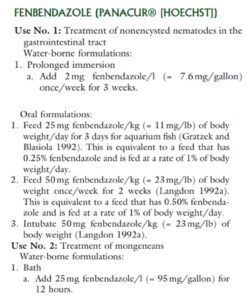 Thomas Labs Fish Bendazole Fenbendazole Powder, 3 Packets, 250 Milligrams 9 71N87asleKL