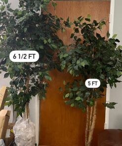 Nearly Natural 7ft. Ficus Artificial Tree, Green 84 in Trees 35 71N9U8WgeqL