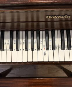 QMG Piano Stickers for 49/61/ 76/88 Key Keyboards – Transparent and Removable; Made in USA Sticker 34 71NC Zwe3KL