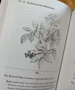 Alternative view of The Gift of Healing Herbs: Plant Medicines and Home Remedies for a Vibrantly Healthy Life