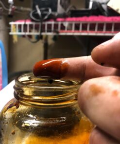 Liqui Moly 2332 Leichtlauf High Tech 5W-40 Engine Oil - 5 Liter 13 71NCuONnqfL