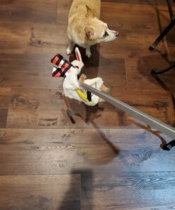 RMS Deluxe 5-Piece Hip Knee Replacement Kit - Ideal for Recovering from Hip Replacement, Knee or Back Surgery, Mobility Tool for Moving and Dressing (32 Inch Reacher) 5 Piece Set 38 71NCyz5AU4L