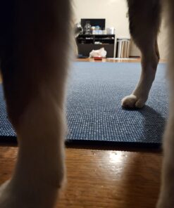 Gorilla Mats Premium Large Yoga Mat – 7' x 5' x 8mm Extra Thick & Ultra Comfortable, Non-Toxic, Non-Slip Barefoot Exercise Mat – Works Great on Any Floor for Stretching, Cardio or Home Workouts 7' x 5' x 8mm (84" Long x 60" Wide) 27 71ND5gKLdLL