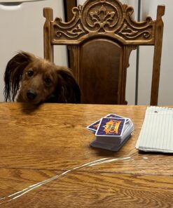 PlayMonster Five Crowns — The Game Isn't Over Until the Kings Go Wild! — 5 Suited Rummy-Style Card Game — For Ages 8+ 41 71NDjF5v1L