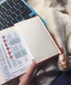 Moleskine Classic Notebook, Hard Cover, Pocket (3.5" x 5.5") Ruled/Lined, Scarlet Red, 192 Pages 18 71NE8SK oFL