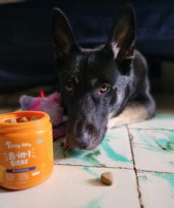 Zesty Paws Multivitamin Treats for Dogs - Glucosamine Chondroitin for Joint Support + Digestive Enzymes & Probiotics - Grain Free Dog Vitamin for Skin & Coat + Immune Health - Chicken Flavor - 90ct 90 Count (Pack of 1) 39 71NEvP0wmaL 2