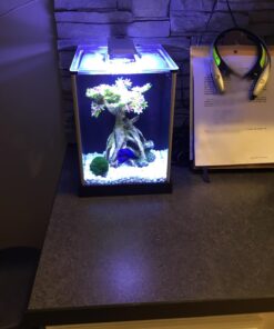 Fluval SPEC Freshwater Aquarium Kit, Aquarium with LED Lighting and 3-Stage Filtration, 2.6 Gallon, Black, Large Breeds 2.6 Gal. 64 71NGHuE7 2L