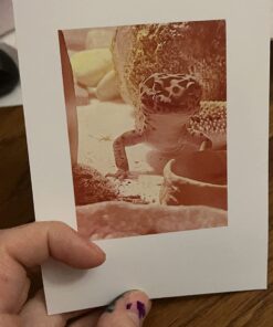 HP 67 Black/Tri-color Ink Cartridges (2 Count - Pack of 1) | Works with HP DeskJet 1255, 2700, 4100 Series, HP ENVY 6000, 6400 Series | Eligible for Instant Ink | 3YP29AN 35 71NGiWIHcVL