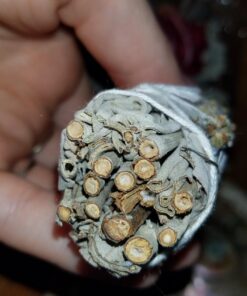 Tomoko White Sage Smudge Kit - 3 White Sage with Rose and Lavender, 2 Palo Santo, Abalone Shell, Wooden Tripod Stand & Feather! Healing, Purifying, Meditating, Incense & Cleansing Super 25 71NHNm5jPxL