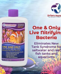 Alternative view of DrTim's Aquatics Reef One & Only Nitrifying Bacteria – For Reef, Nano and Seahorse Aquaria, New Fish Tanks, Aquariums, Disease Treatment – H20 Pure Fish Tank Cleaner – Removes Toxins – 8 Oz., 402 One & Only REEF-PURE