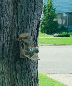 Birds Choice SNSQJAR Recycled Squirrel Jar Feeder, Squirrel Feeders, 7-1/4"L X 19"W X 15-3/4"H, Taupe w/ Green Roof 44 71NLKGtYstL
