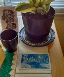 Espoma Organic Potting Soil Mix - All Natural Potting Mix For All Indoor & Outdoor Containers Including Herbs & Vegetables. For Organic Gardening, 8qt. bag. Pack of 1 55 71NNeSvH74L