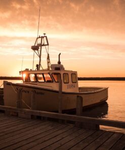 Wild Foods Liquid Omega 3 Fish Oil Supplement, Lemon, 16 oz (1 pk) | Wild Caught, Burpless, Odorless, Non-GMO, Gluten Free | DPA, DHA, EPA Triple Strength Heart & Joint Nutrition for Women & Men 1 17 71NOXQERWL