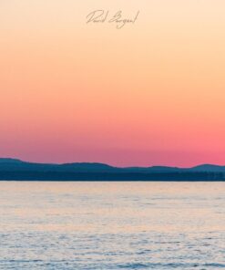 Nikon D500 DX-Format Digital SLR (Body Only), Base 62 71NPgwQQtmL