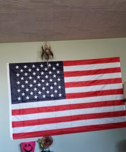 Jetlifee American Flag 4x6 Outdoor, 4x6 Flags Outside, All Weather US Flags with Embroidered Stars Sewn Stripes Brass Grommets, Vivid Color, Polyester USA Flag for Outdoor Indoor (4 by 6 Foot) 4 by 6 Foot 39 71NRjnEFG0L