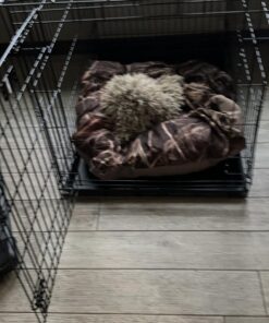 MidWest Homes for Pets Newly Enhanced Single Door iCrate Dog Crate, Includes Leak-Proof Pan, Floor Protecting Feet, Divider Panel & New Patented Features iCrate; Single Door 48.0"L x 30.0"W x 33.0"H 34 71NUksmxVtL