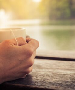 Prospect Tea White Bengal Darjeeling Tea Pods Compatible with K Cup Brewers Including 2.0, 40 Count 13 71NVV0aKQL