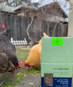 FLYGRUBS Superior to Dried Mealworms for Chickens (1lb) - 85X More Calcium Than Live mealworms - Non-GMO Chicken Feed - BSFL Treats for Hens, Ducks, Turkeys, Wild Birds, Turtles, Quails 1 Pound 28 71NWK6pH1KL