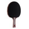 JOOLA Infinity Balance - Advanced Performance Ping Pong Paddle - Competition Ready - Table Tennis Racket for High-Level Training - Designed to Optimize Spin and Control Natural Dark 23 71NWMyux4dL