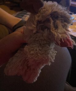 Multipet Plush Dog Toy, Lambchop, 10", White/Tan, Small 10" 31 71NX557coCL