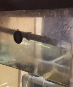 Penn-Plax Cascade All-in-One Aquarium Canister Filter – for Tanks Up to 100 Gallons (265 GPH) – Cascade 1000 Cascade-1000 61 71NX65 xpL