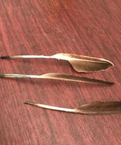 Touch of Nature 22-Piece Duck Wing Quills for Arts and Crafts, 8-Inch, Natural/Grey 1 16 71NbEl2jpNL