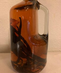 Slofoodgroup - Madagascar Vanilla Beans - Extract Grade B Vanilla Pods - 10 Count - Extraction Grade Bourbon Vanilla Planifolia - For Cooking, Baking, and Vanilla Extract 10 Count (Pack of 1) 49 71Nc3I7UYL