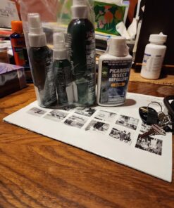 Sawyer Products SP564 Premium Insect Repellent with 20% Picaridin, Lotion, 4-Ounce 4-Oz 31 71NcJxFao2L